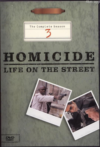 情理法的春天 第三季