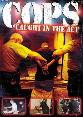 执法先锋 第一季