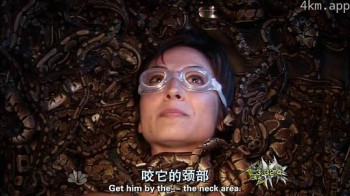 恐惧元素（新版）