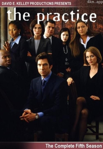 律师本色 第五季