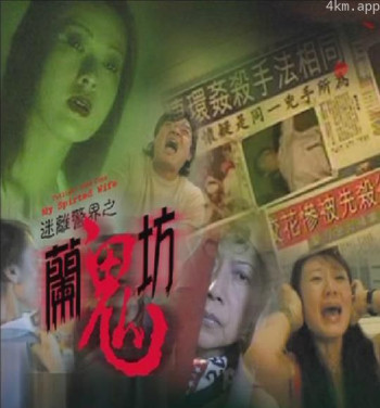 迷离警界：兰鬼坊