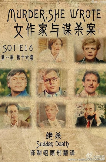 女作家与谋杀案：绝杀