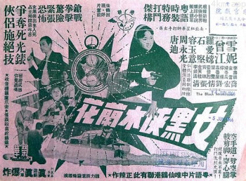 女黑侠木兰花