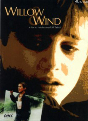 让风带着我起飞