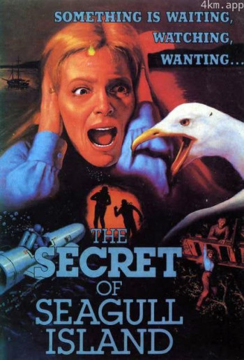 海鸥岛之谜