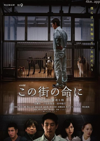 为了这条街的生命