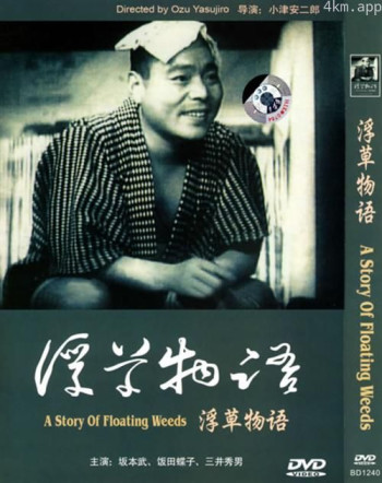 浮草物语