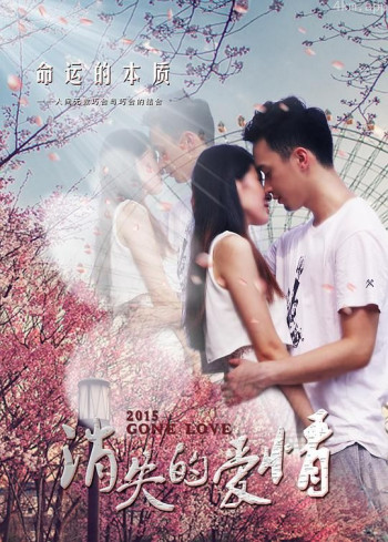 消失的爱情