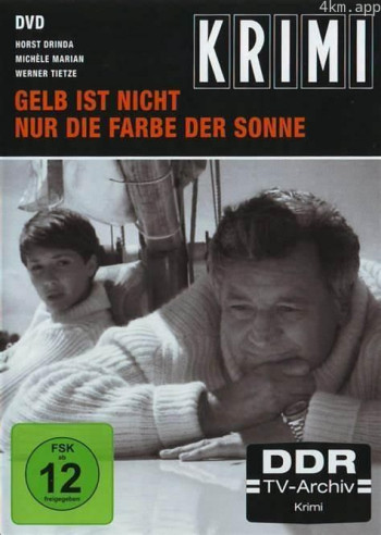 来历不明的日记