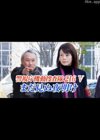 警视厅机动搜查队216 V 还未见到黎明