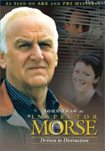 摩斯探长：错误路线