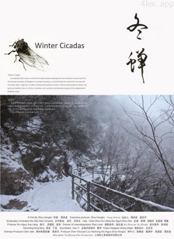 冬蝉