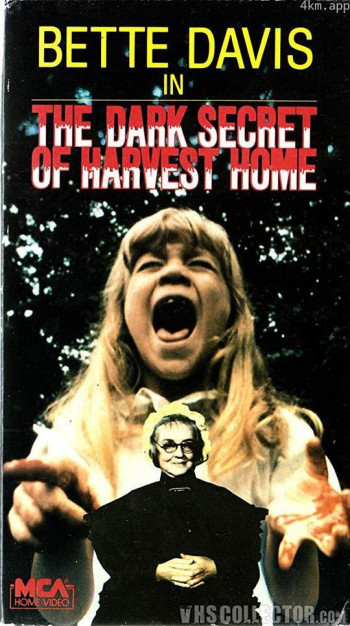 破碎之家的黑暗秘密