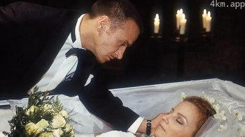 火线干探之永远的爱