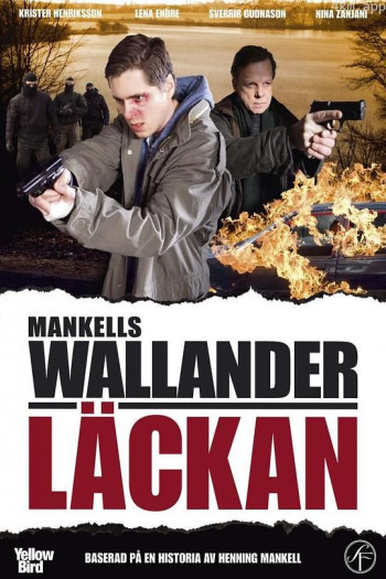 沃兰德探长系列:泄密