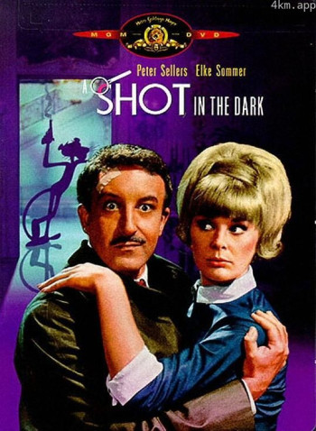 粉红豹系列：黑夜怪枪