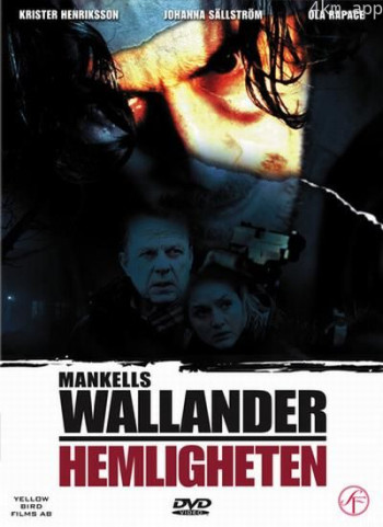 沃兰德探长系列：秘密