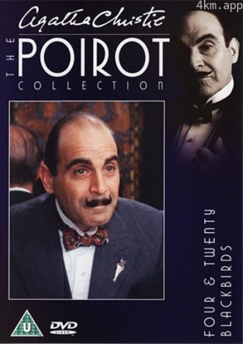 二十四只黑画眉