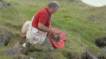 自然世界：冰岛：冰与火的国度