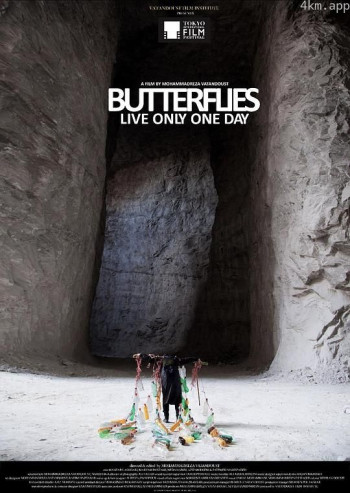 蝴蝶只有一天生命