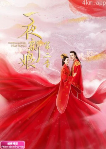 一夜新娘2 越南语版