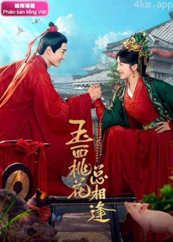 玉面桃花总相逢 越南语版