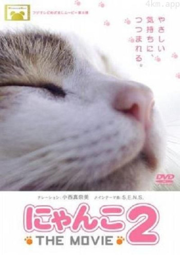 猫咪物语2