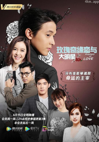 玫瑰奇缘恋与大明星