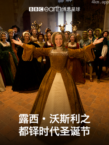 露西·沃斯利之都铎时代圣诞节