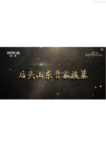 后头山东晋家族墓