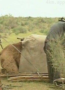 走入红色的沙漠