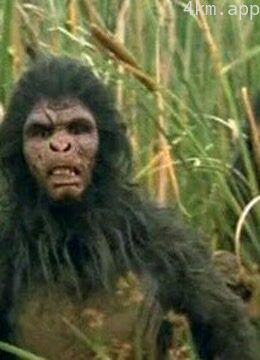 人类进化史诗Ⅱ:智人