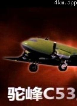 驼峰C53坠机寻踪