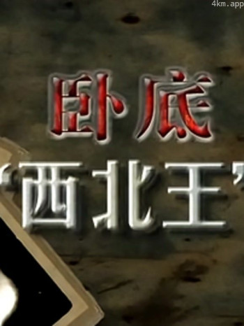 卧底“西北王”