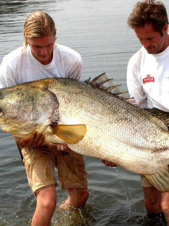 挑战不可能的钓鱼