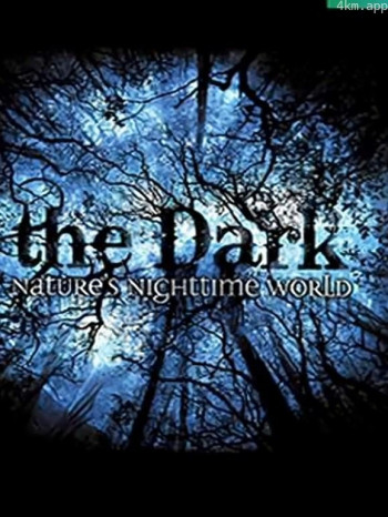 黑暗中的自然界