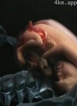 人类进化史诗Ⅲ:生命之初