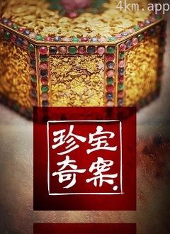 珍宝奇案