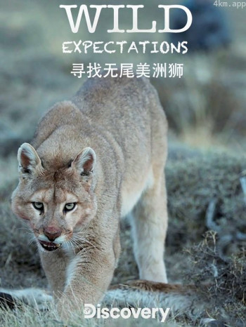 野生动物探寻