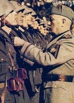 二战意大利彩胶