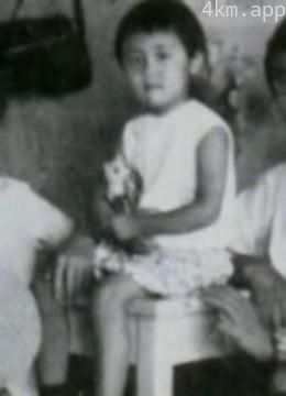 家在上海：返城知青生存路