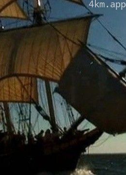 绝望穿越：五月花