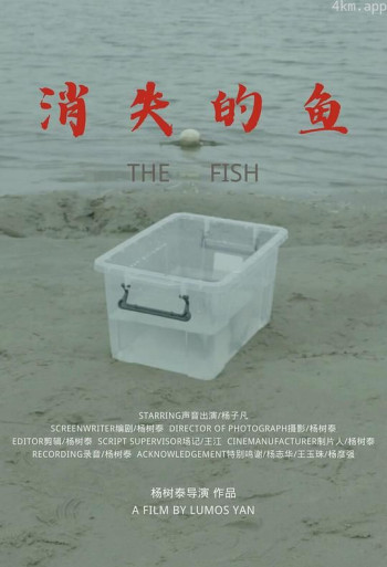 消失的鱼