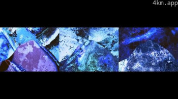 La noirceur souterraine des racines