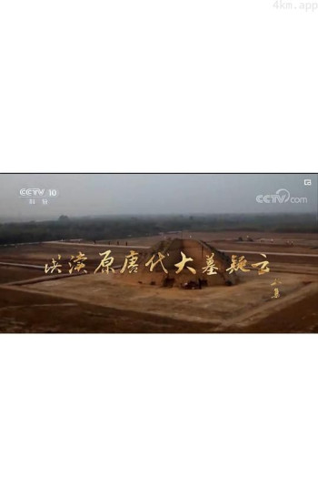 洪渎原唐代大墓疑云