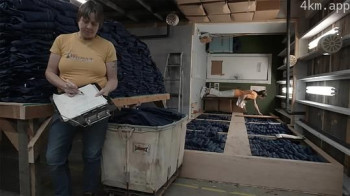 The Stillness of Labor