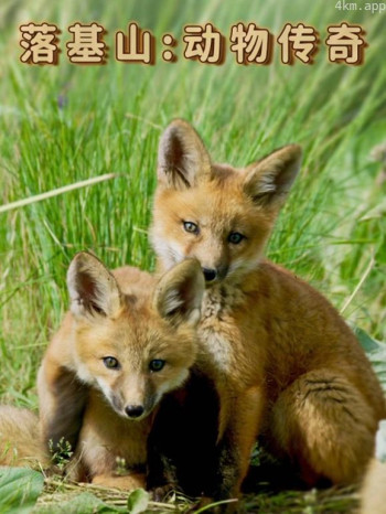 落基山:动物传奇英语中字版