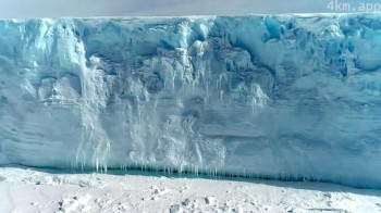 The Antarctic Gardener