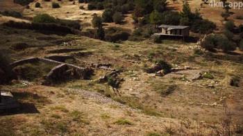 Sprouts of a Dragon's Teeth