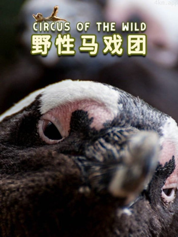 野性马戏团英语中字版